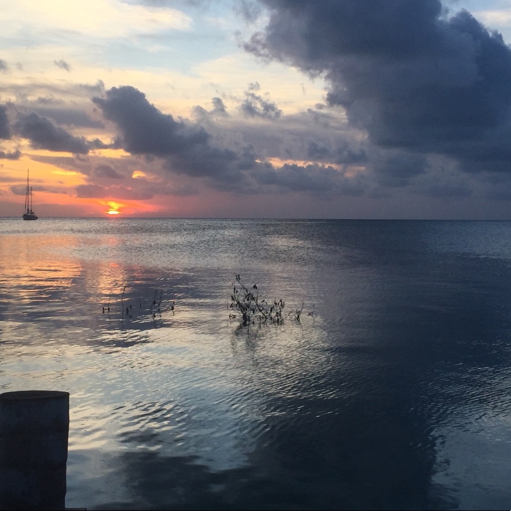 Meet your Posher, Yuko